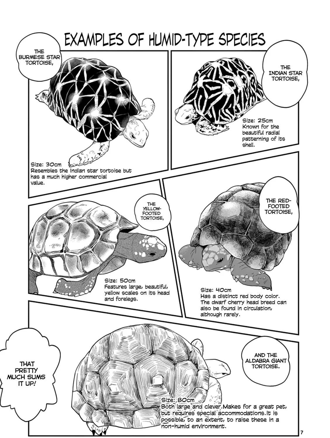Reptile Secrets Chapter 15 page 15 - 