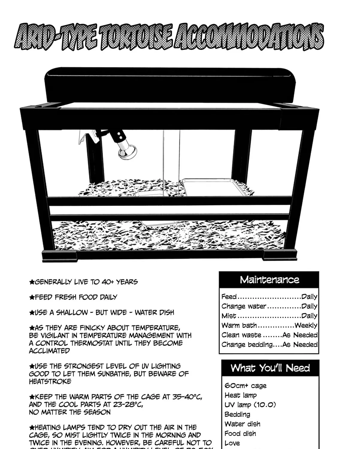 Reptile Secrets Chapter 15 page 25 - 