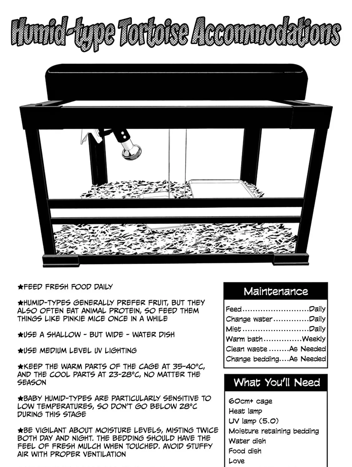 Reptile Secrets Chapter 15 page 27 - 