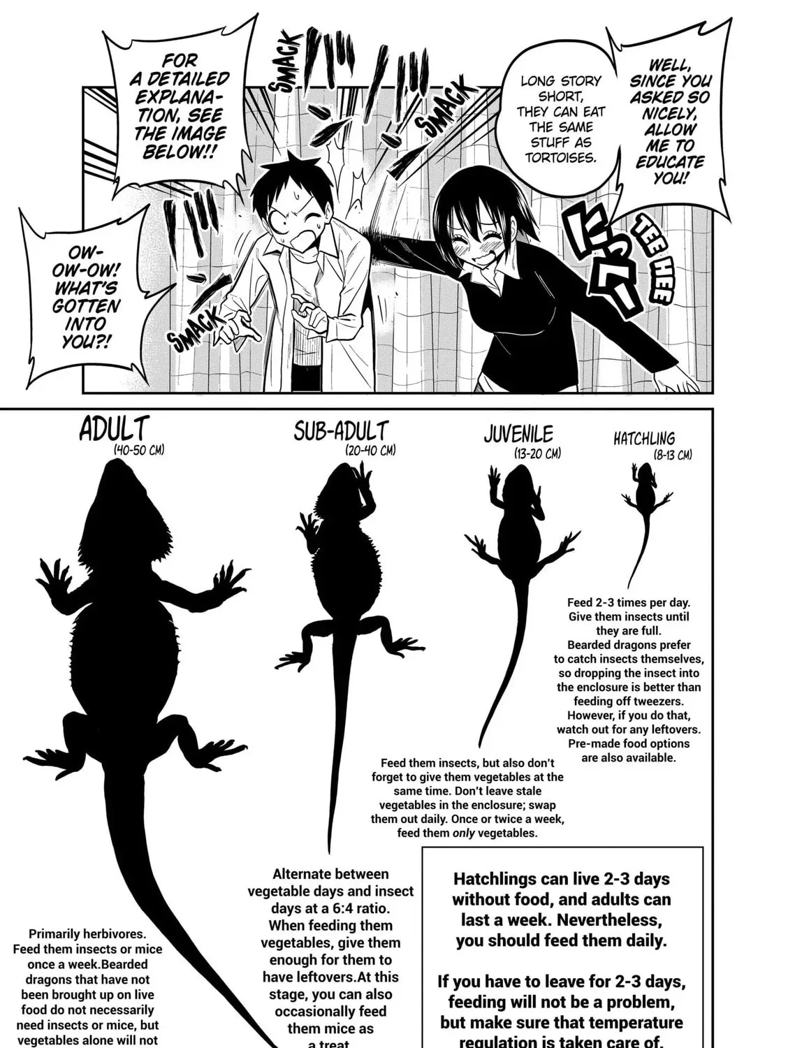 Reptile Secrets Chapter 21 page 13 - 