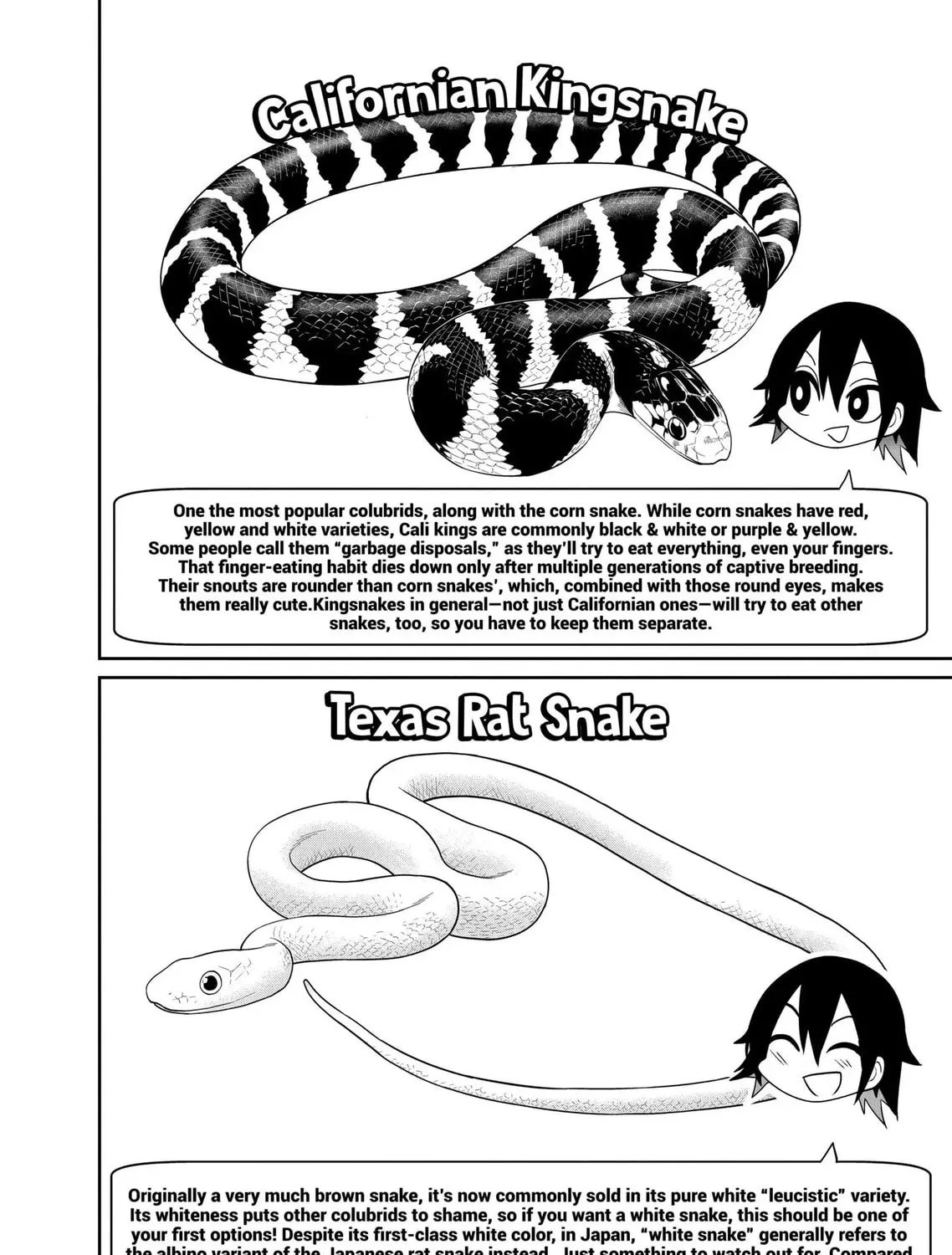 Reptile Secrets Chapter 23 page 27 - 