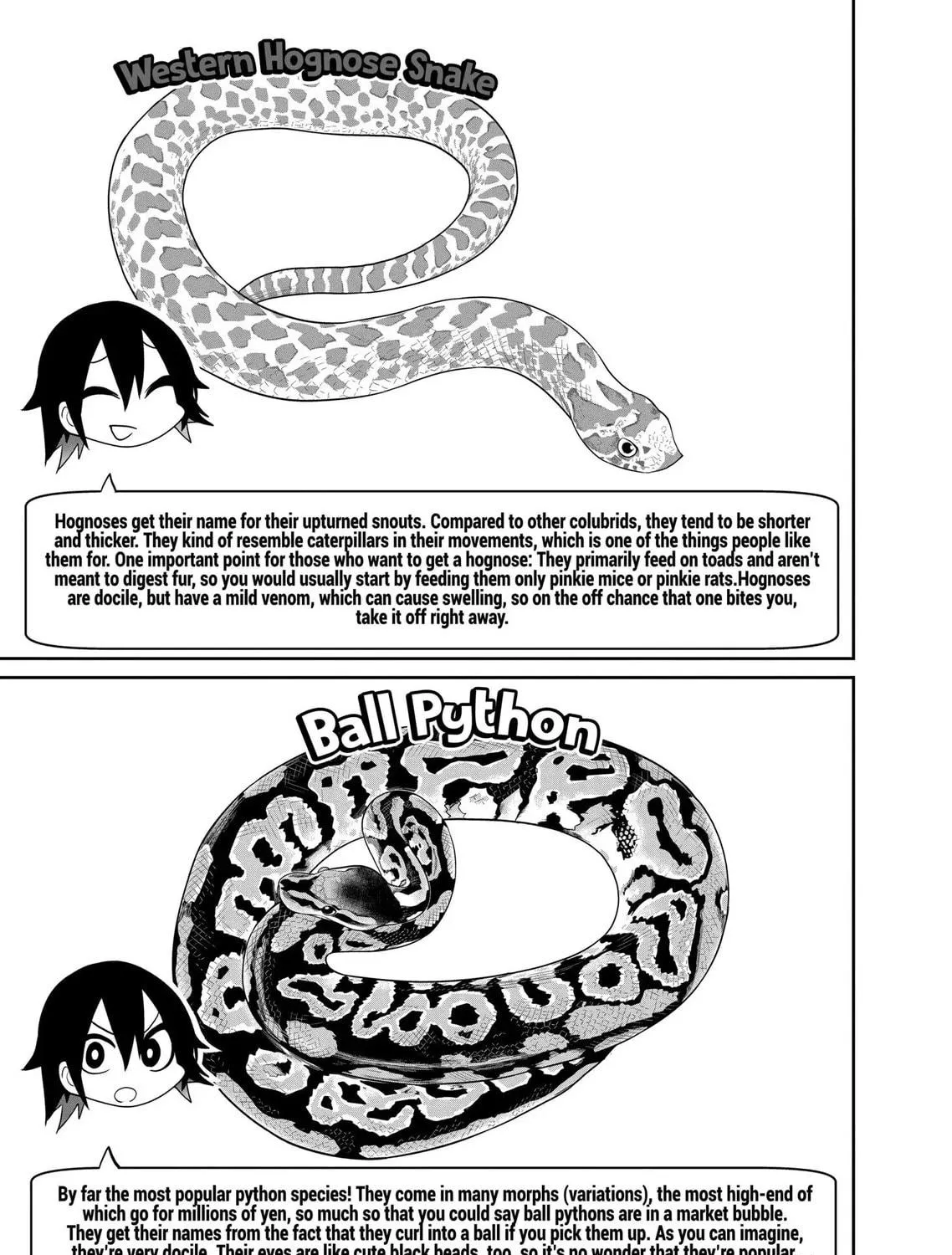 Reptile Secrets Chapter 23 page 29 - 