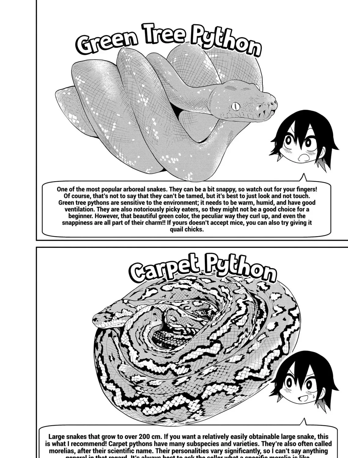 Reptile Secrets Chapter 23 page 31 - 