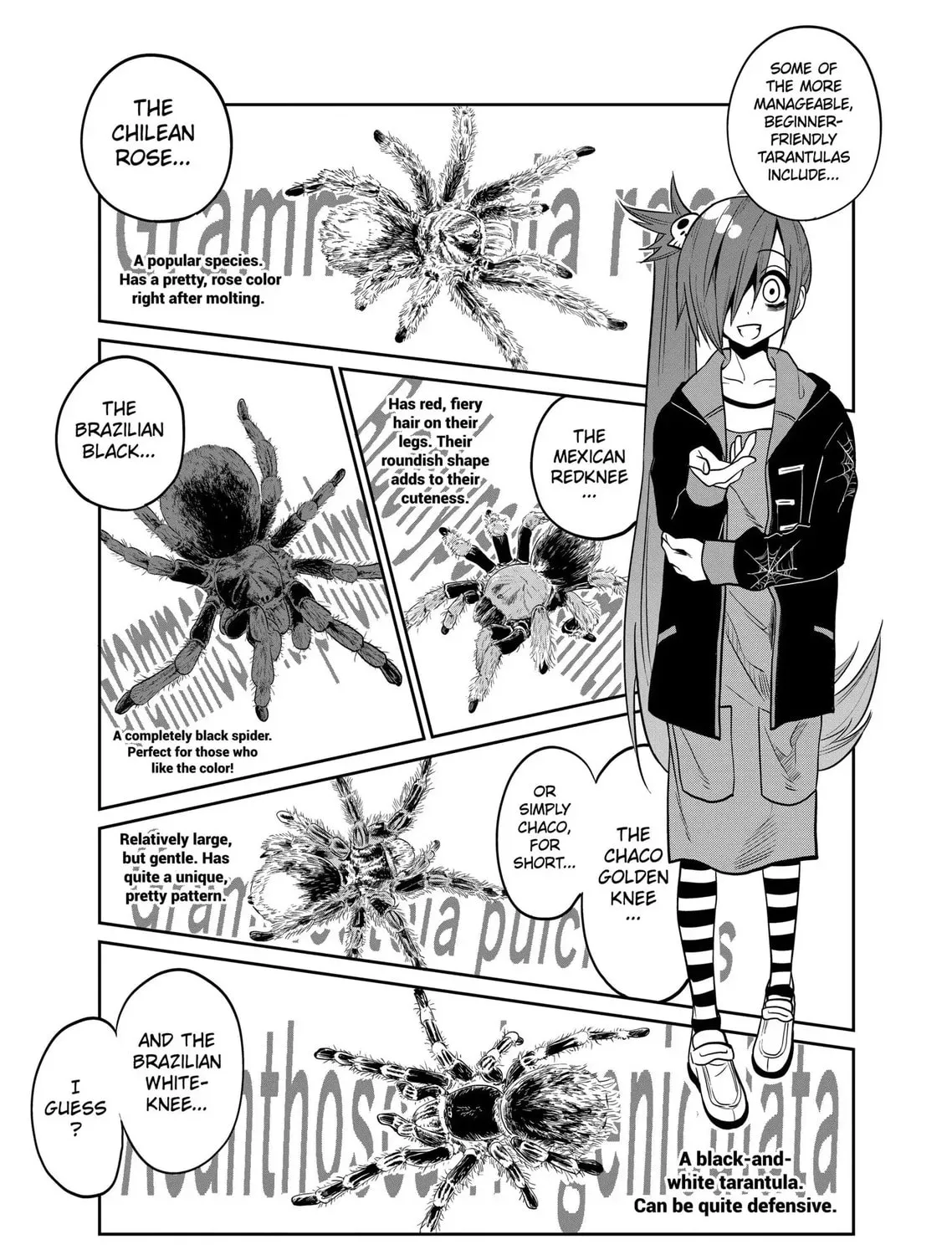 Reptile Secrets Chapter 25 page 25 - 