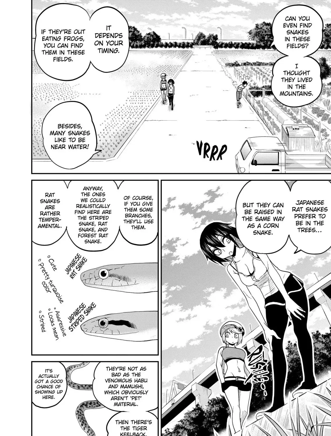 Reptile Secrets Chapter 31 page 31 - 