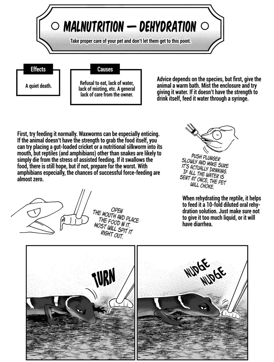 Reptile Secrets Chapter 35.5 page 13 - 