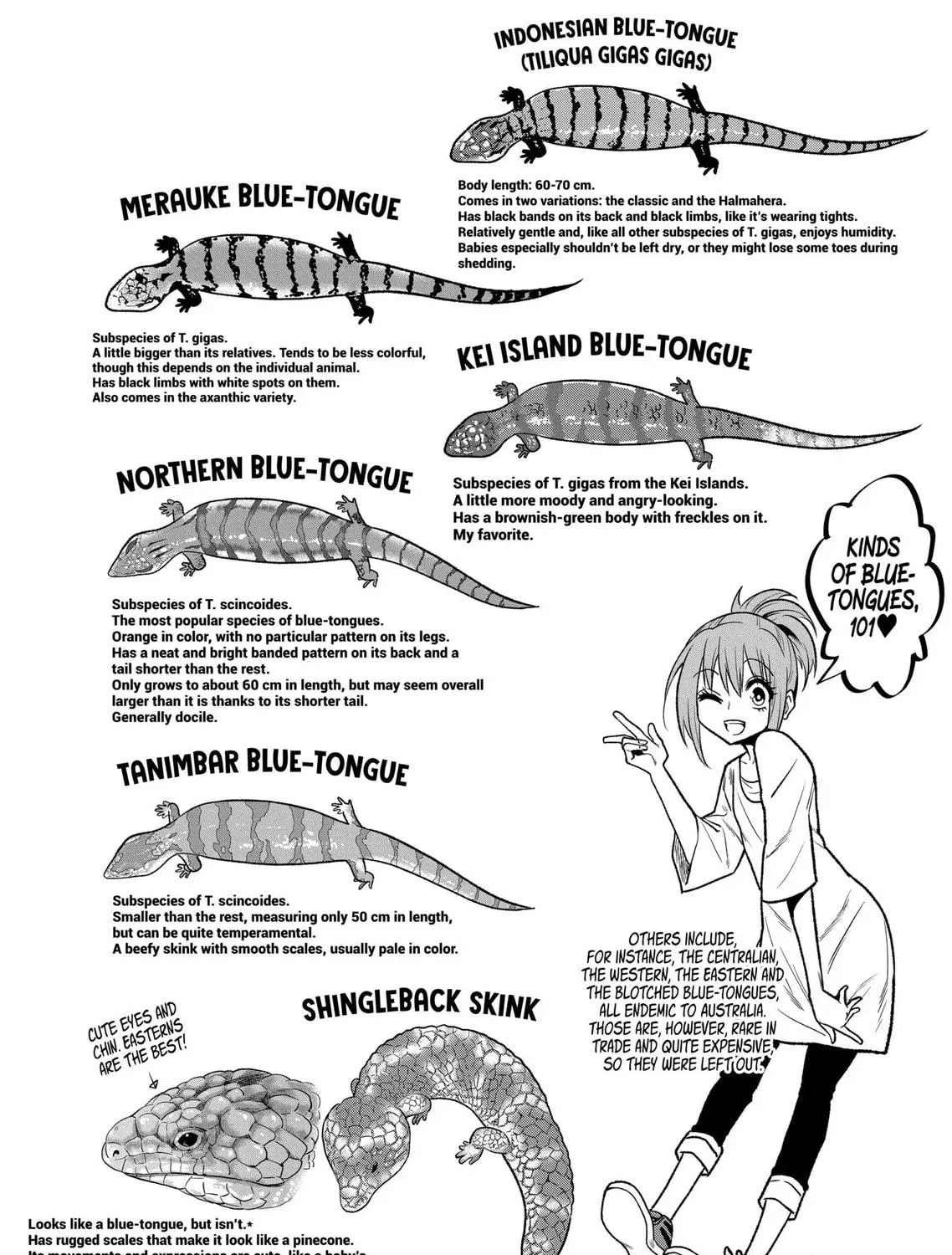 Reptile Secrets Chapter 36 page 19 - 
