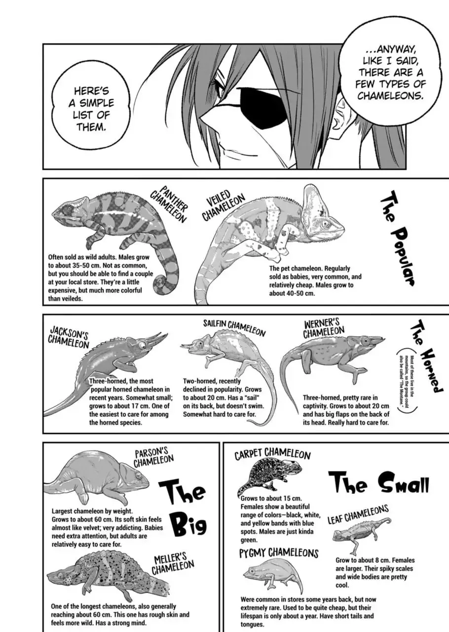 Reptile Secrets Chapter 39 page 8 - 