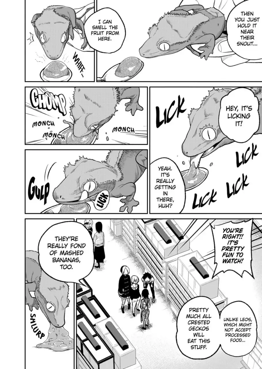 Reptile Secrets Chapter 42 page 8 - 