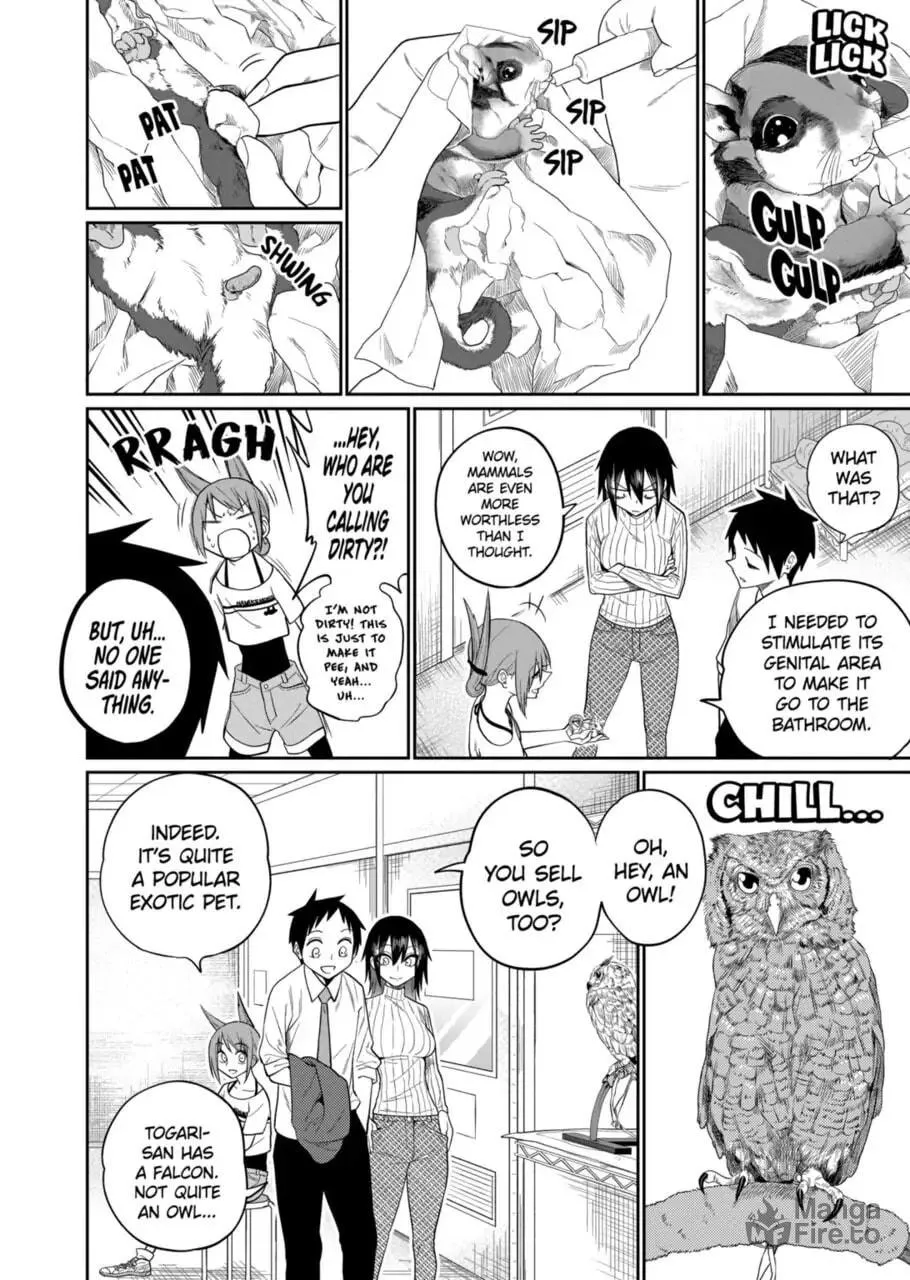 Reptile Secrets Chapter 46 page 18 - 