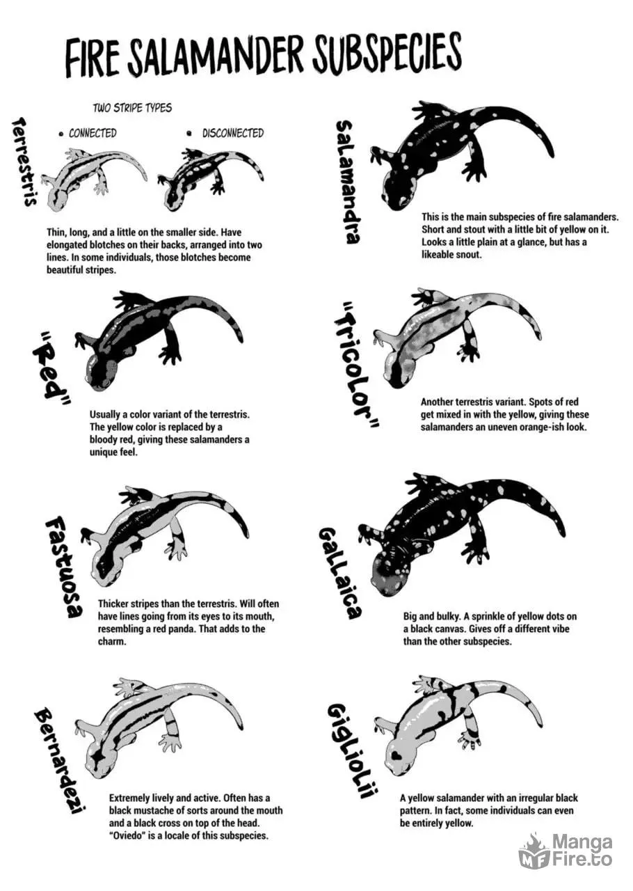Reptile Secrets Chapter 54 page 5 - 