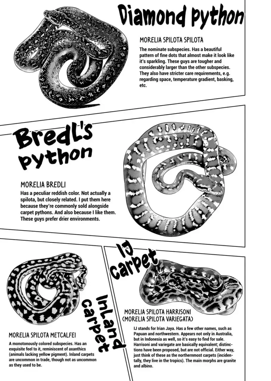 Reptile Secrets Chapter 55 page 7 - 
