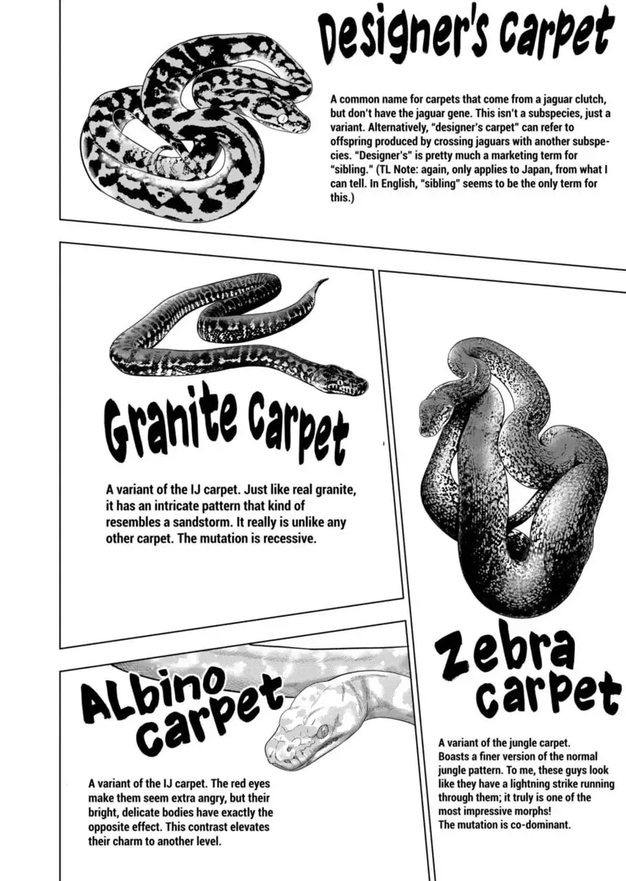 Reptile Secrets Chapter 55 page 8 - 