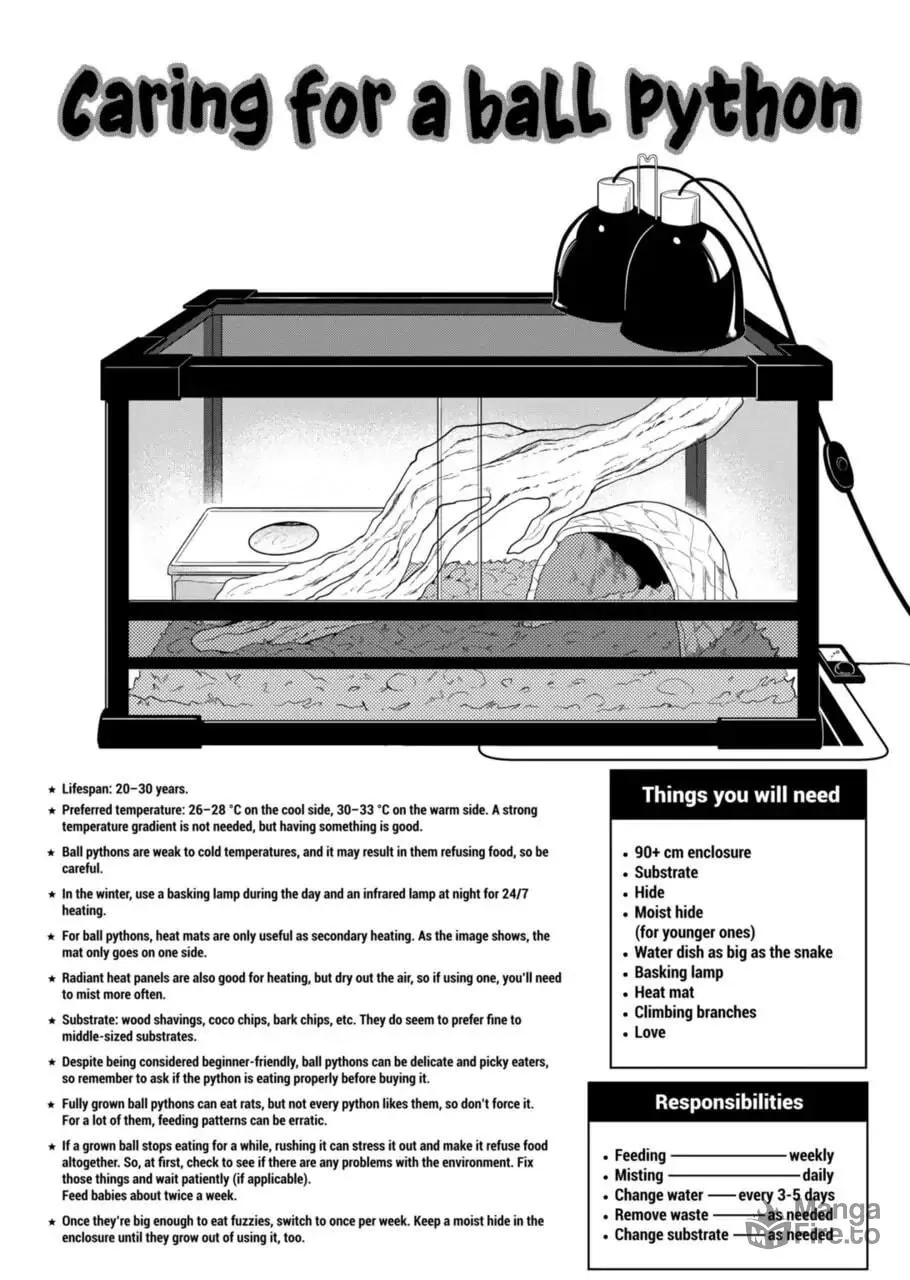 Reptile Secrets Chapter 57 page 15 - 