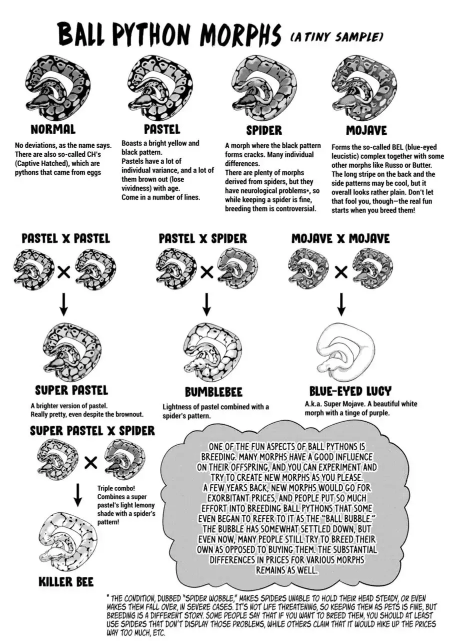 Reptile Secrets Chapter 57 page 7 - 