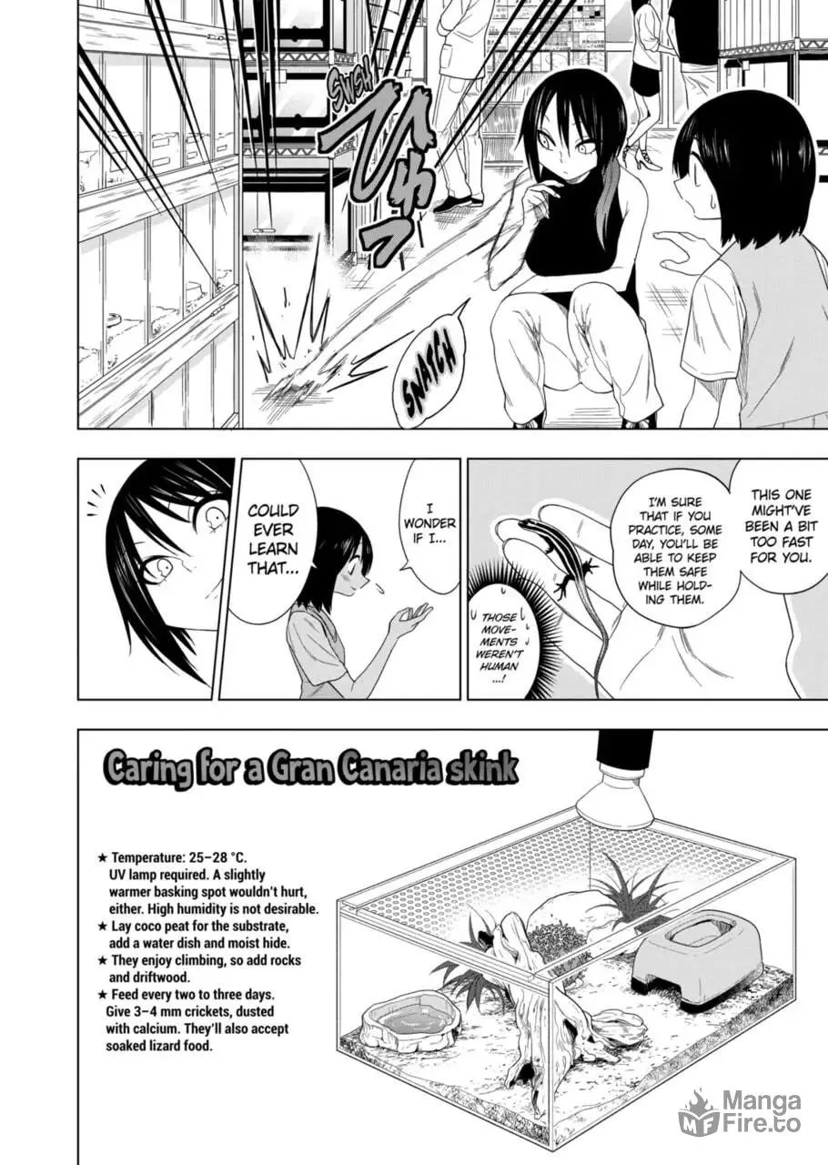 Reptile Secrets Chapter 60 page 18 - 
