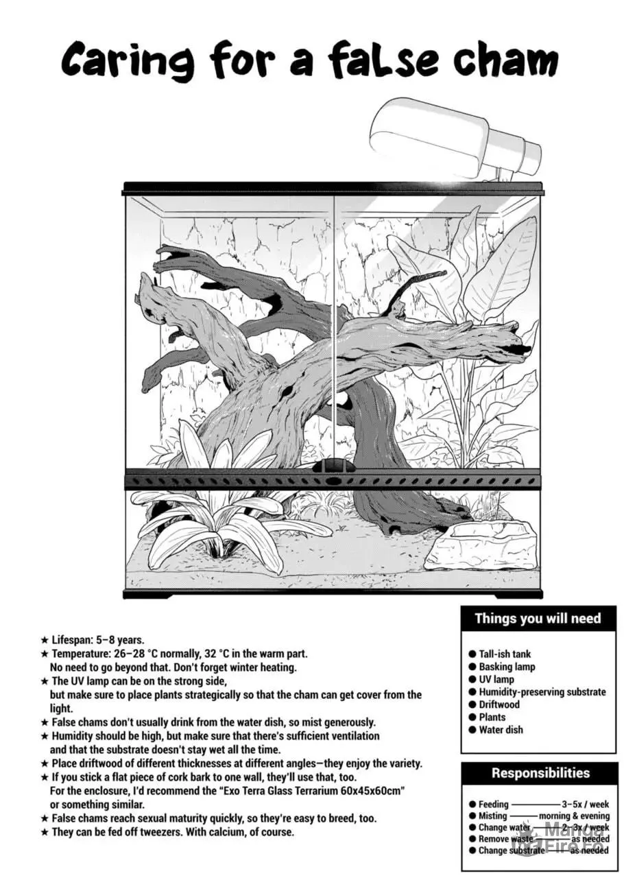 Reptile Secrets Chapter 60 page 6 - 
