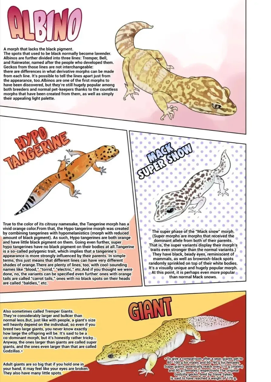 Reptile Secrets Chapter 62 page 14 - 