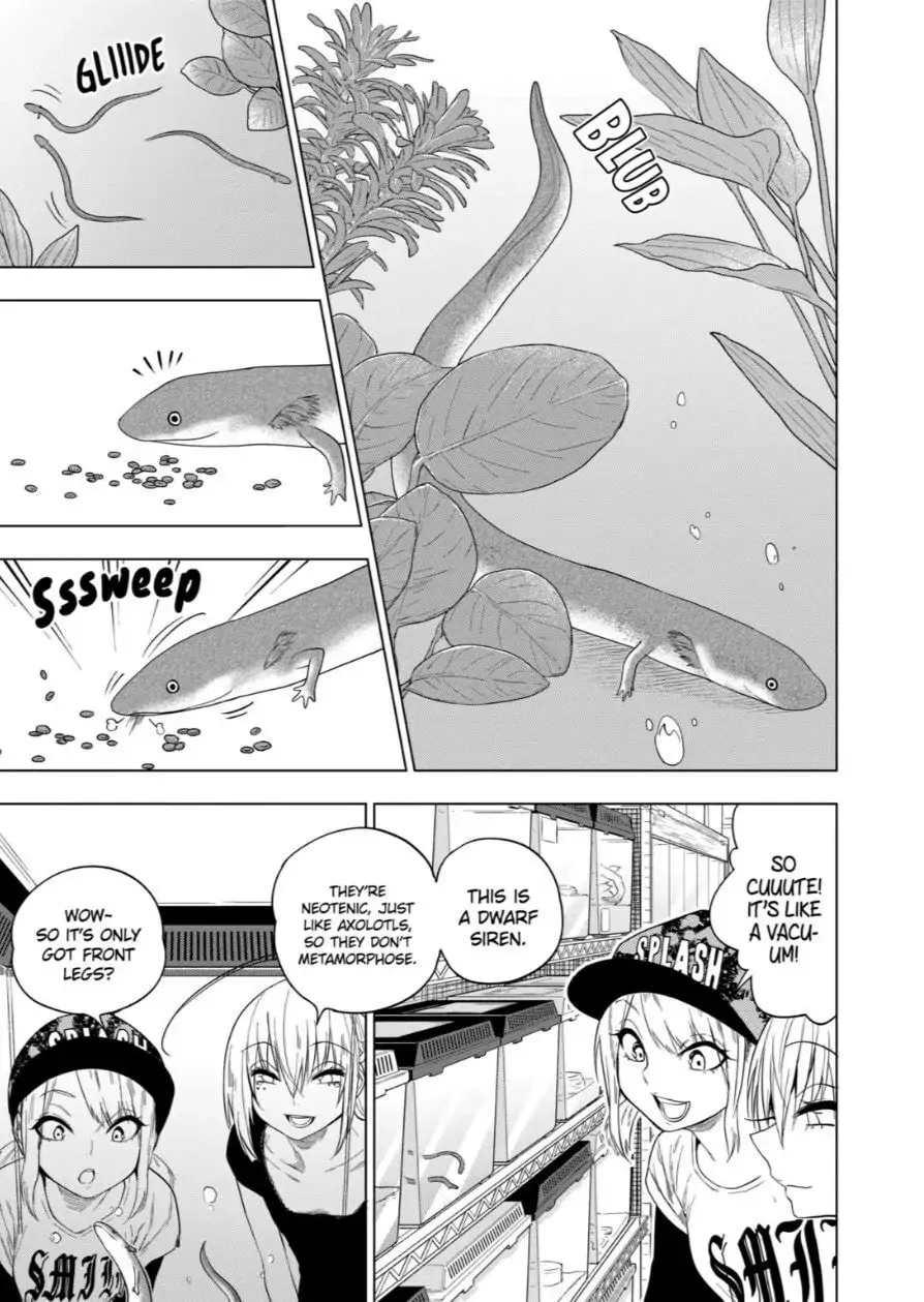 Reptile Secrets Chapter 63 page 19 - 