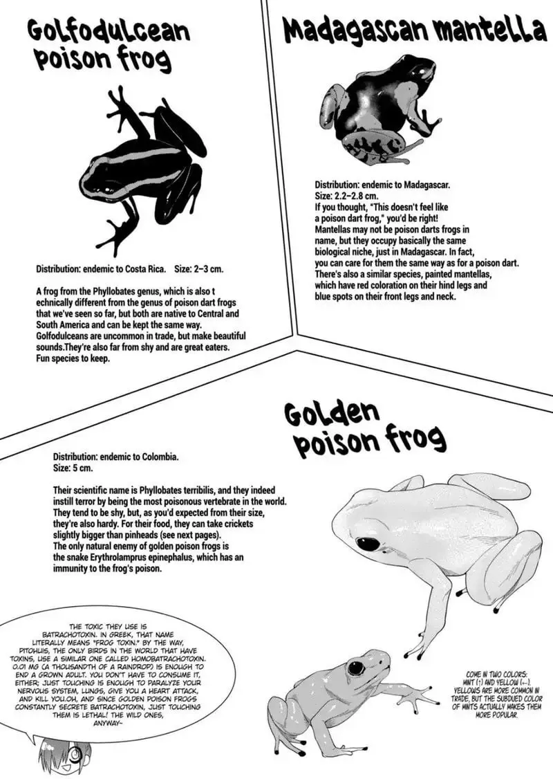 Reptile Secrets Chapter 71 page 8 - 