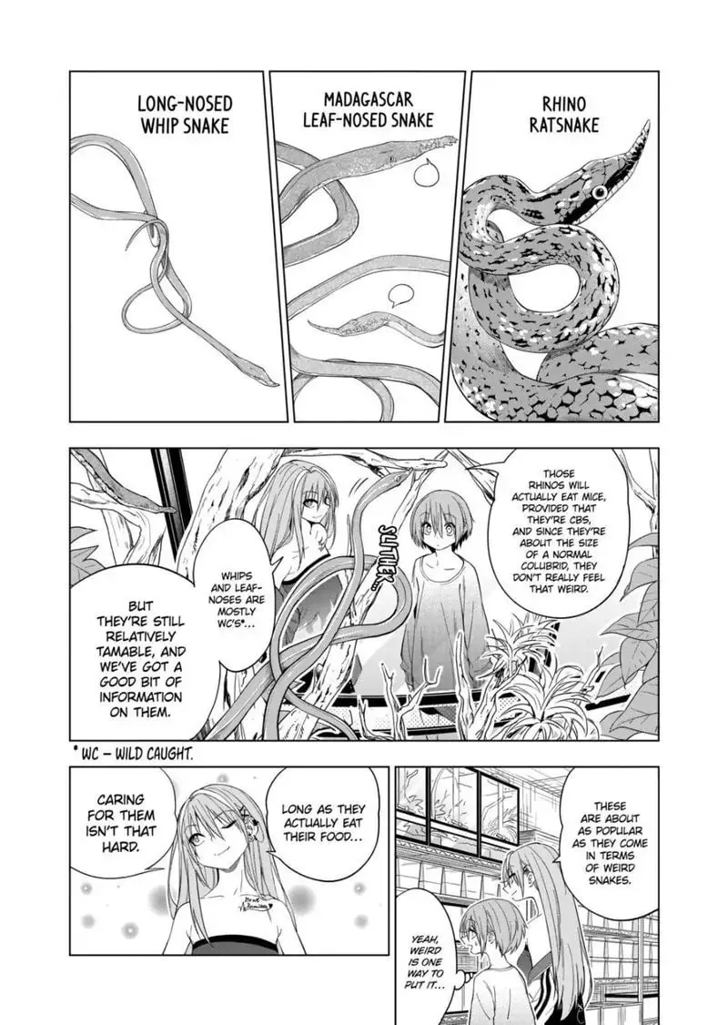 Reptile Secrets Chapter 72 page 8 - 