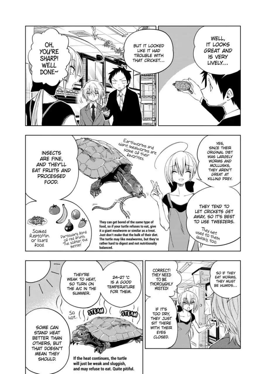 Reptile Secrets Chapter 74 page 4 - 