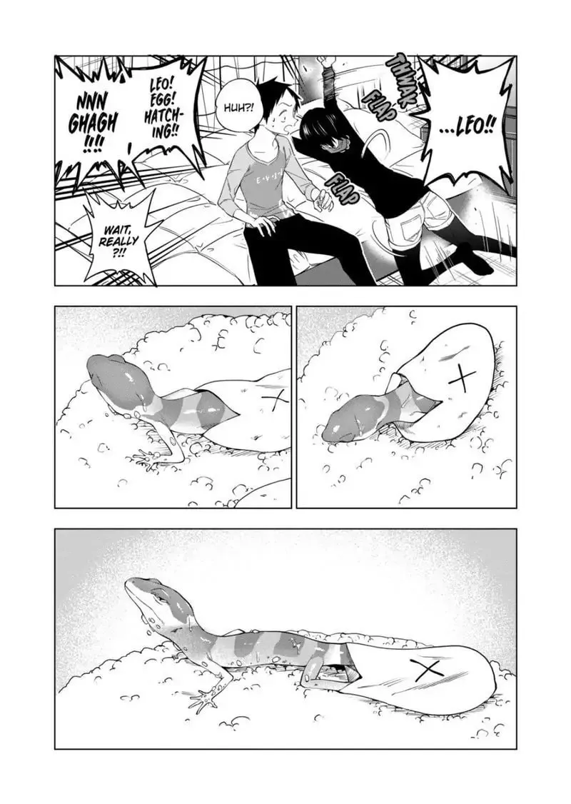 Reptile Secrets Chapter 75 page 14 - 
