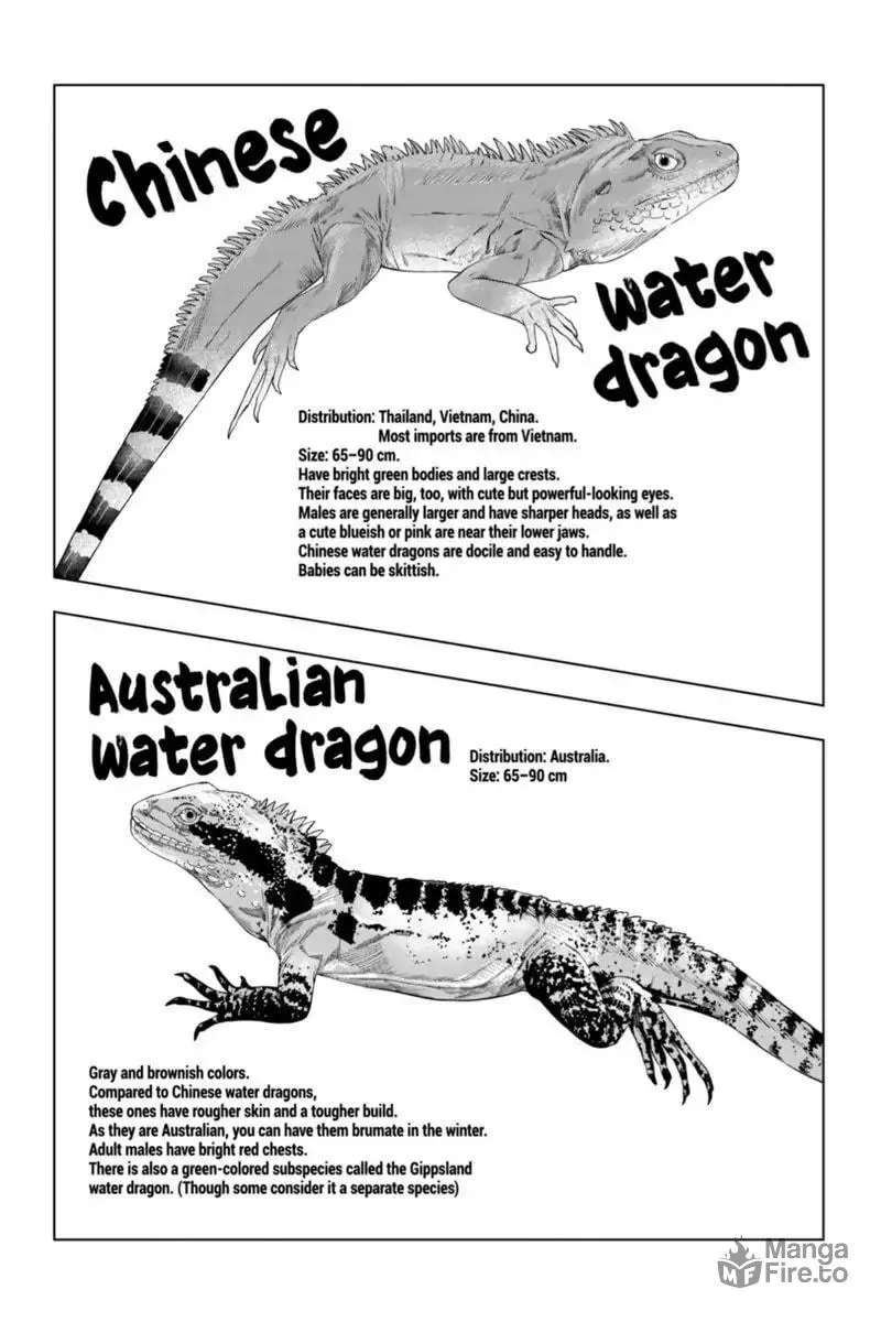 Reptile Secrets Chapter 76 page 12 - 