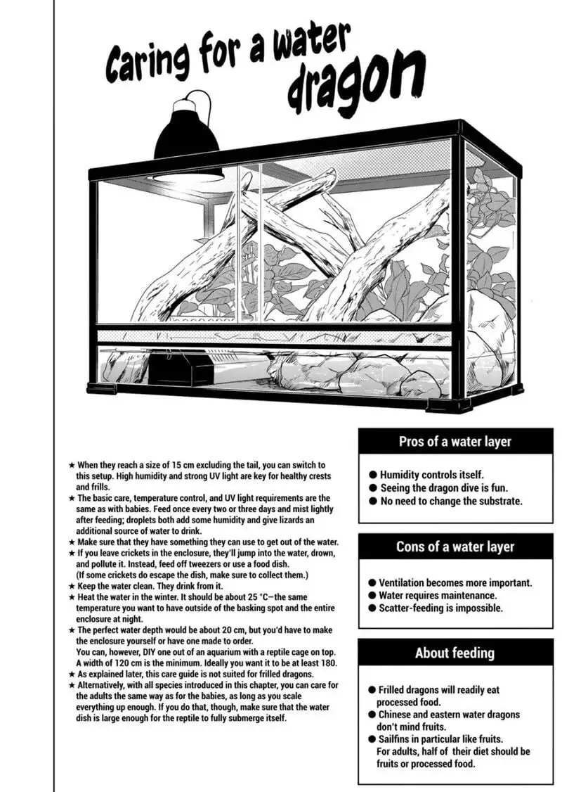 Reptile Secrets Chapter 77 page 14 - 