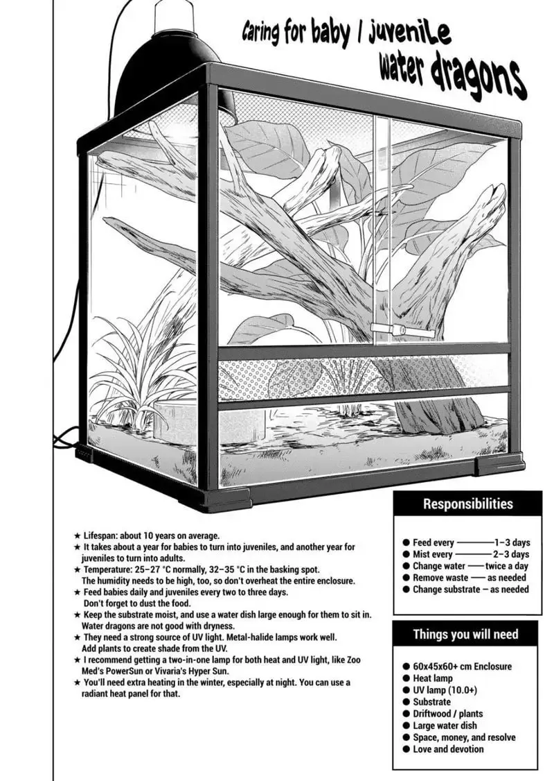 Reptile Secrets Chapter 77 page 8 - 