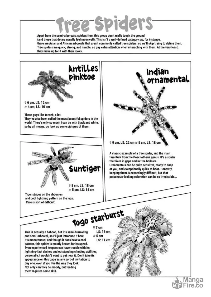 Reptile Secrets Chapter 82 page 12 - 
