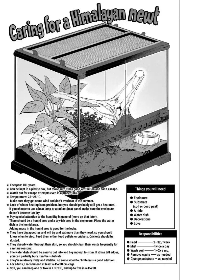 Reptile Secrets Chapter 83 page 11 - 