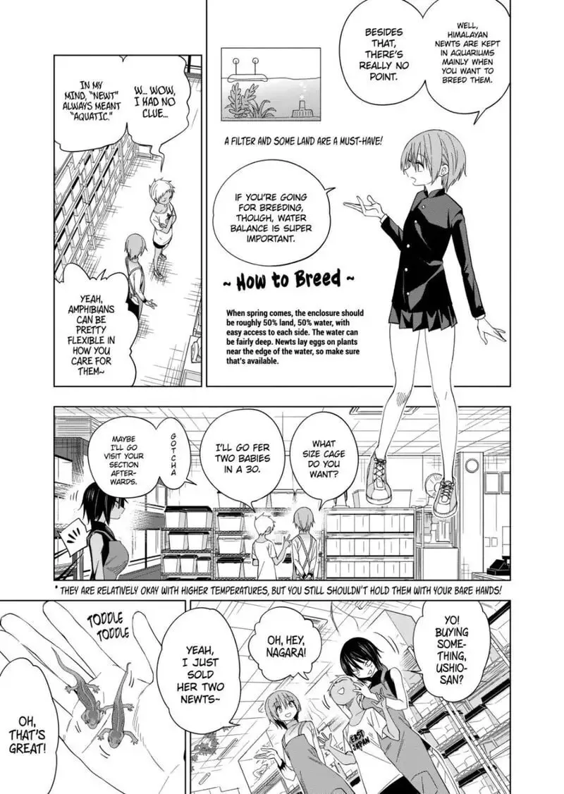 Reptile Secrets Chapter 83 page 13 - 