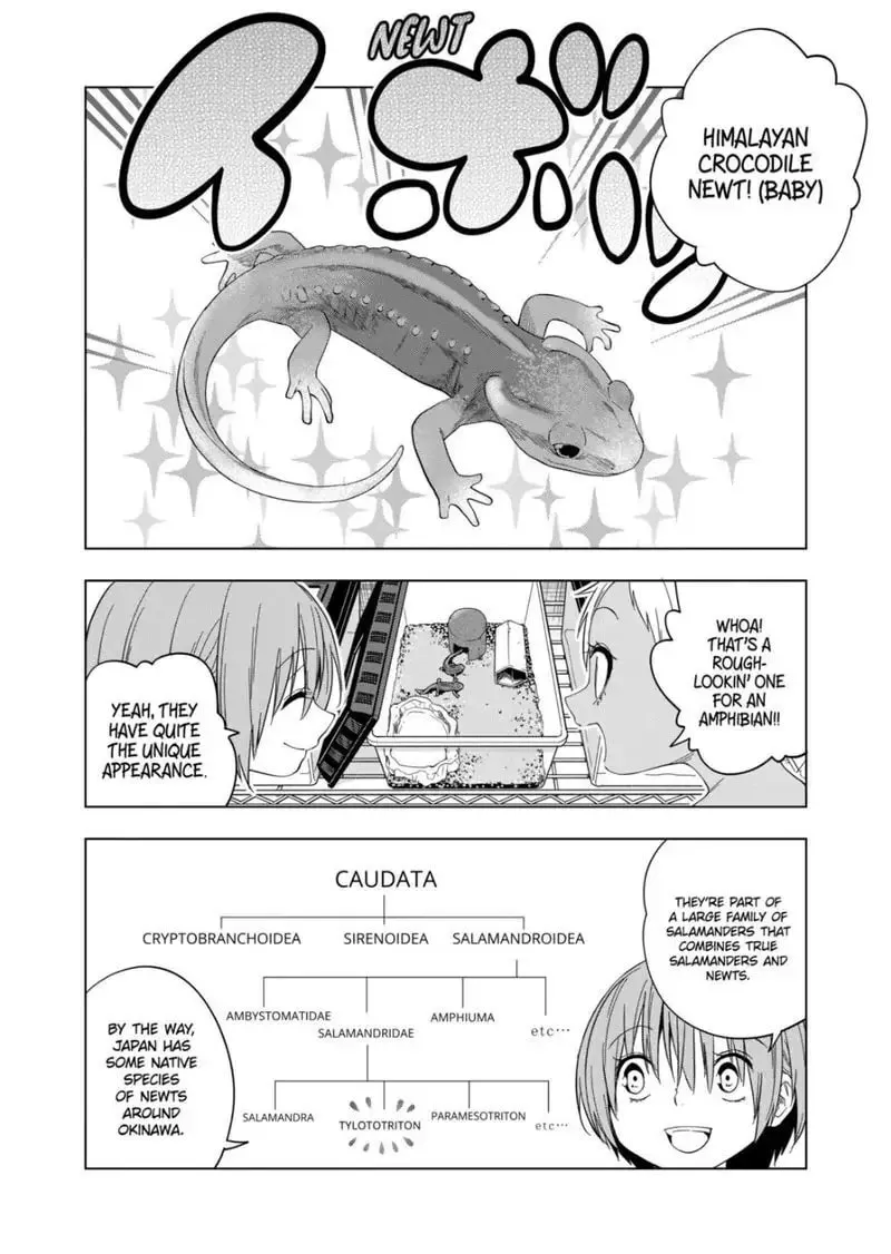 Reptile Secrets Chapter 83 page 4 - 