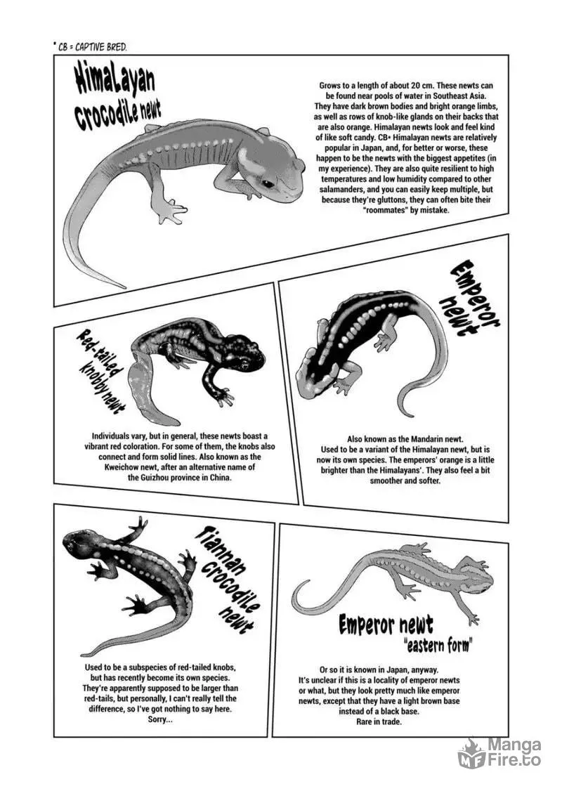 Reptile Secrets Chapter 83 page 5 - 