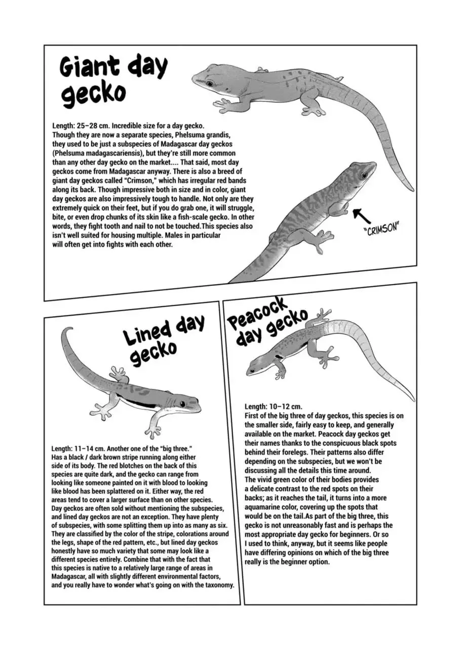Reptile Secrets Chapter 86 page 8 - 