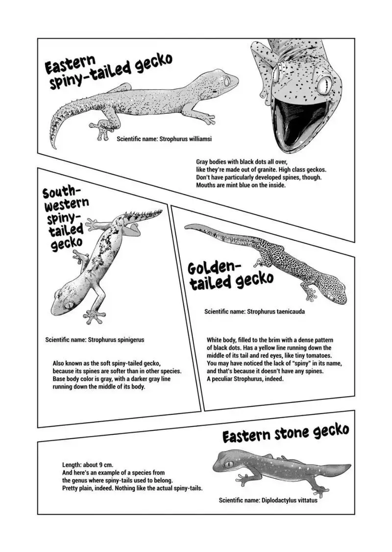 Reptile Secrets Chapter 89 page 14 - 