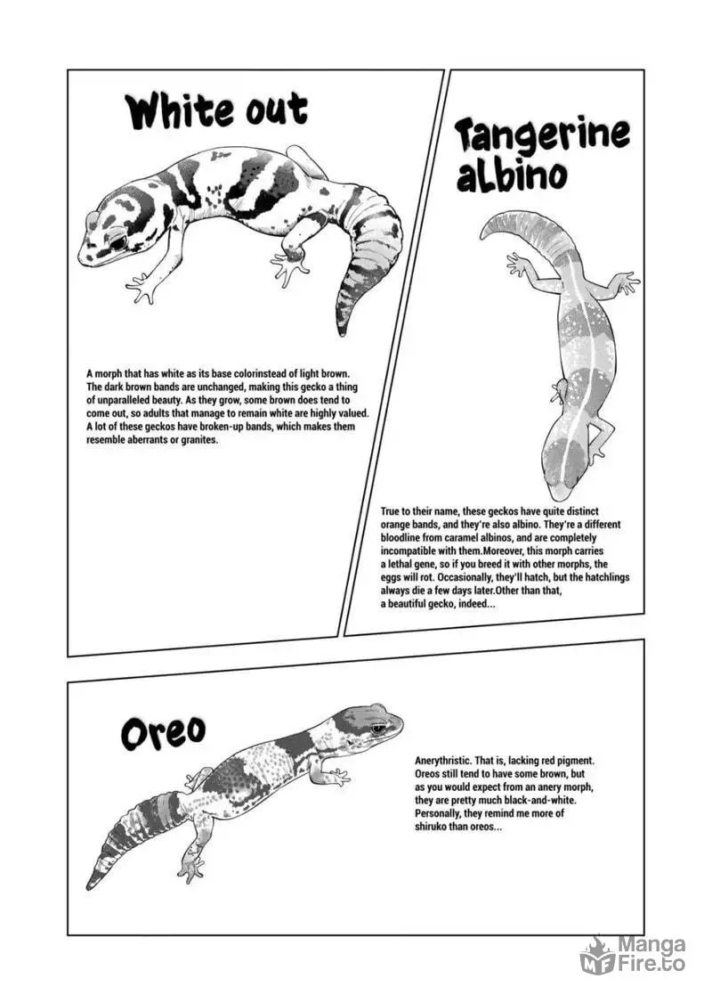Reptile Secrets Chapter 91 page 12 - 