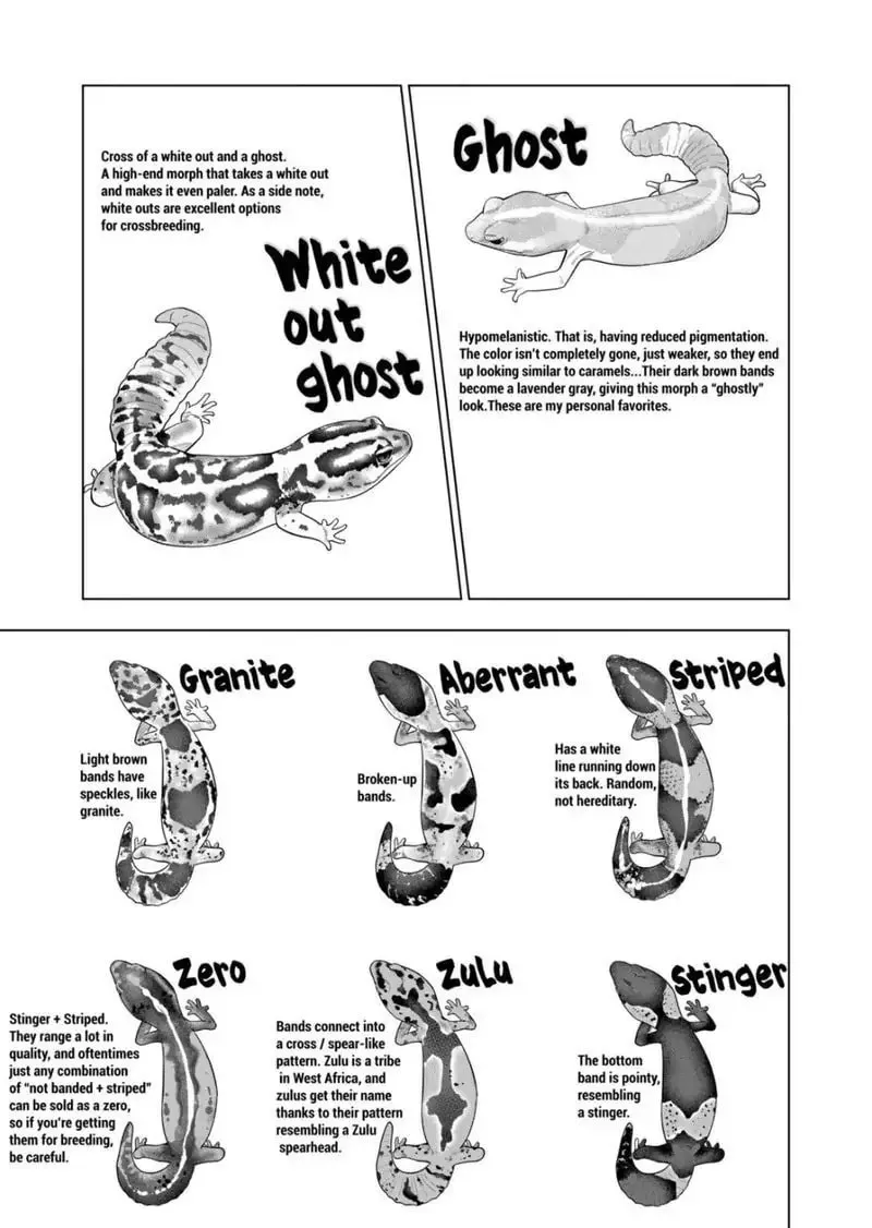Reptile Secrets Chapter 91 page 13 - 