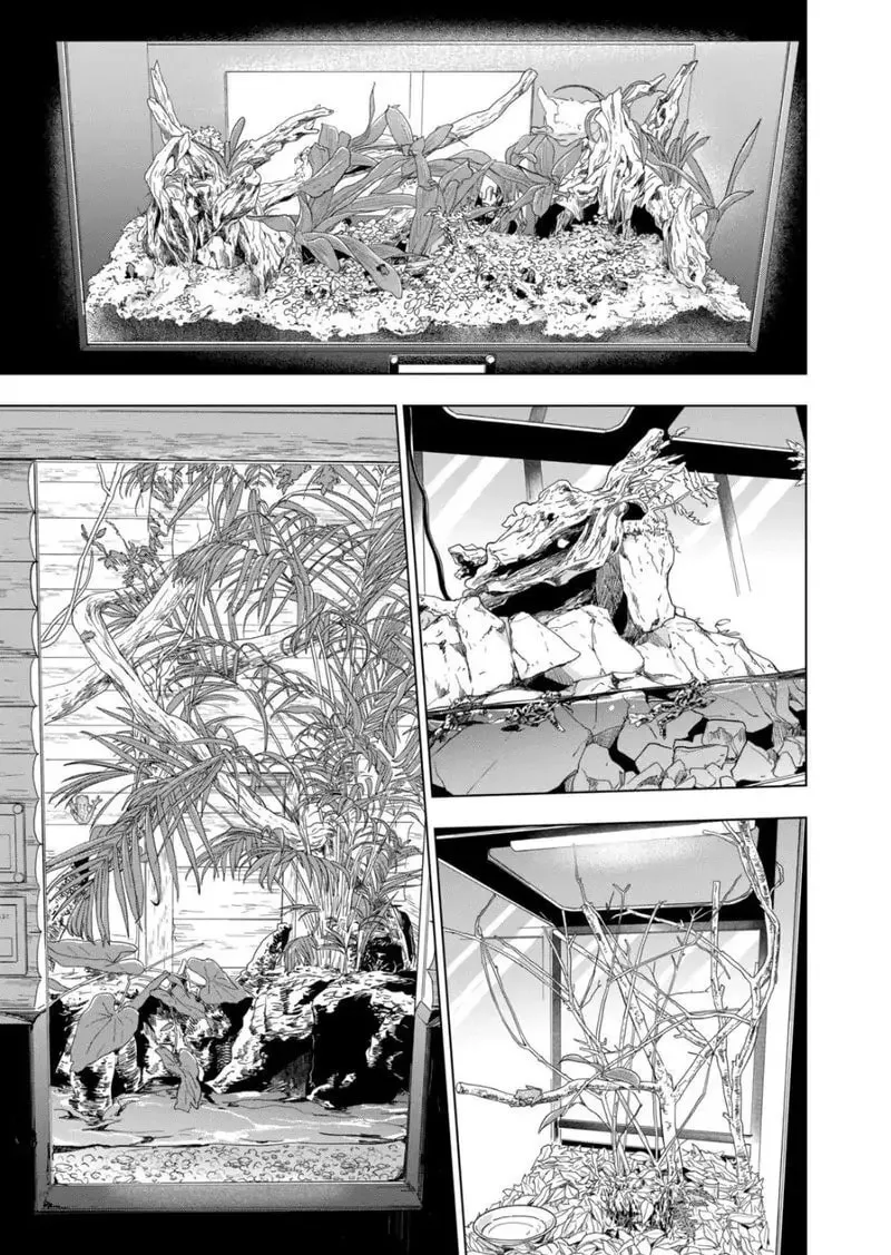 Reptile Secrets Chapter 96 page 14 - 