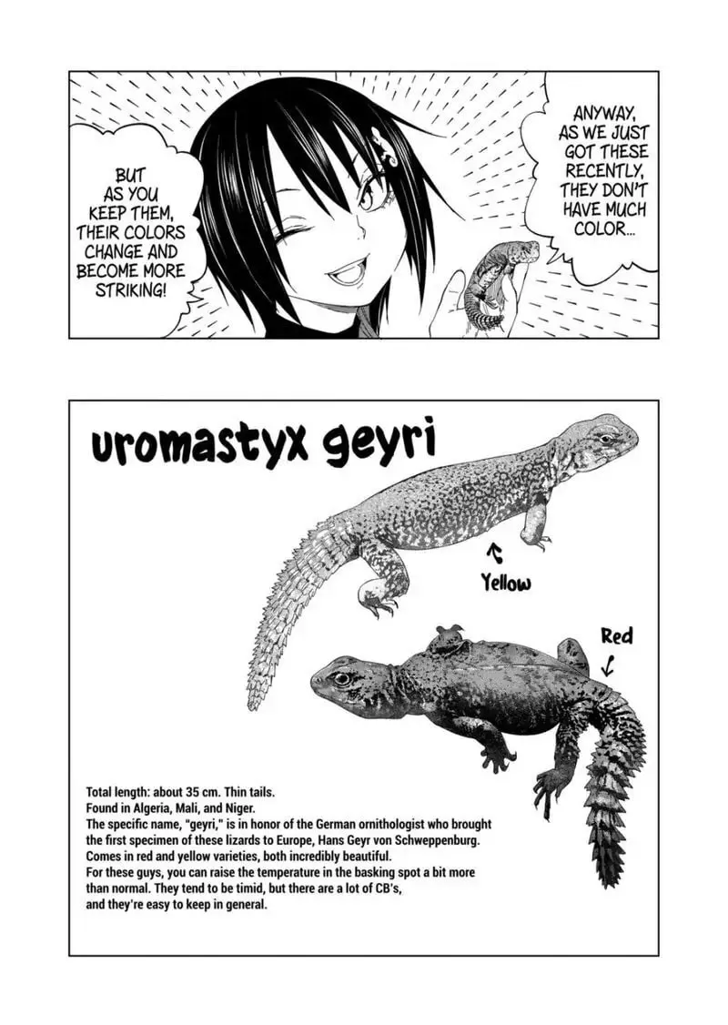 Reptile Secrets Chapter 98 page 11 - 