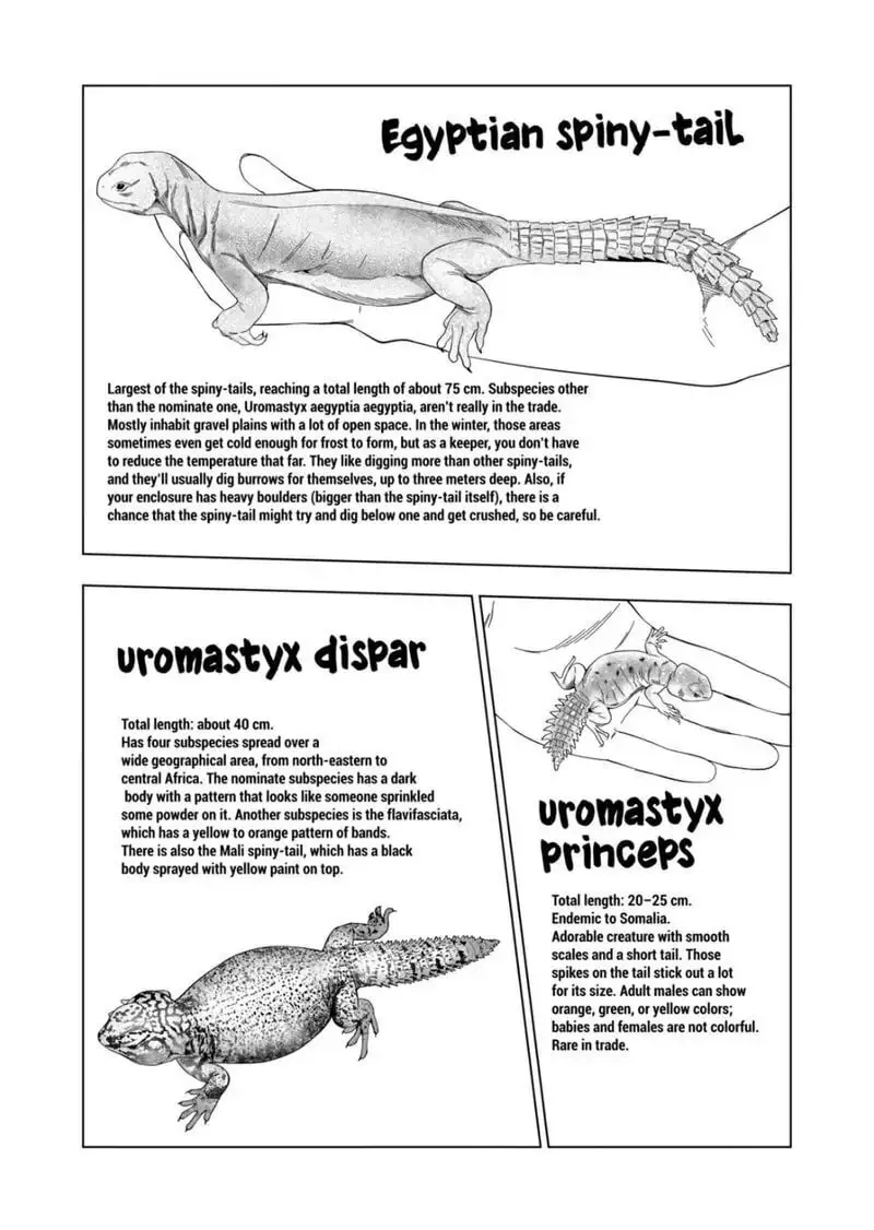 Reptile Secrets Chapter 98 page 13 - 