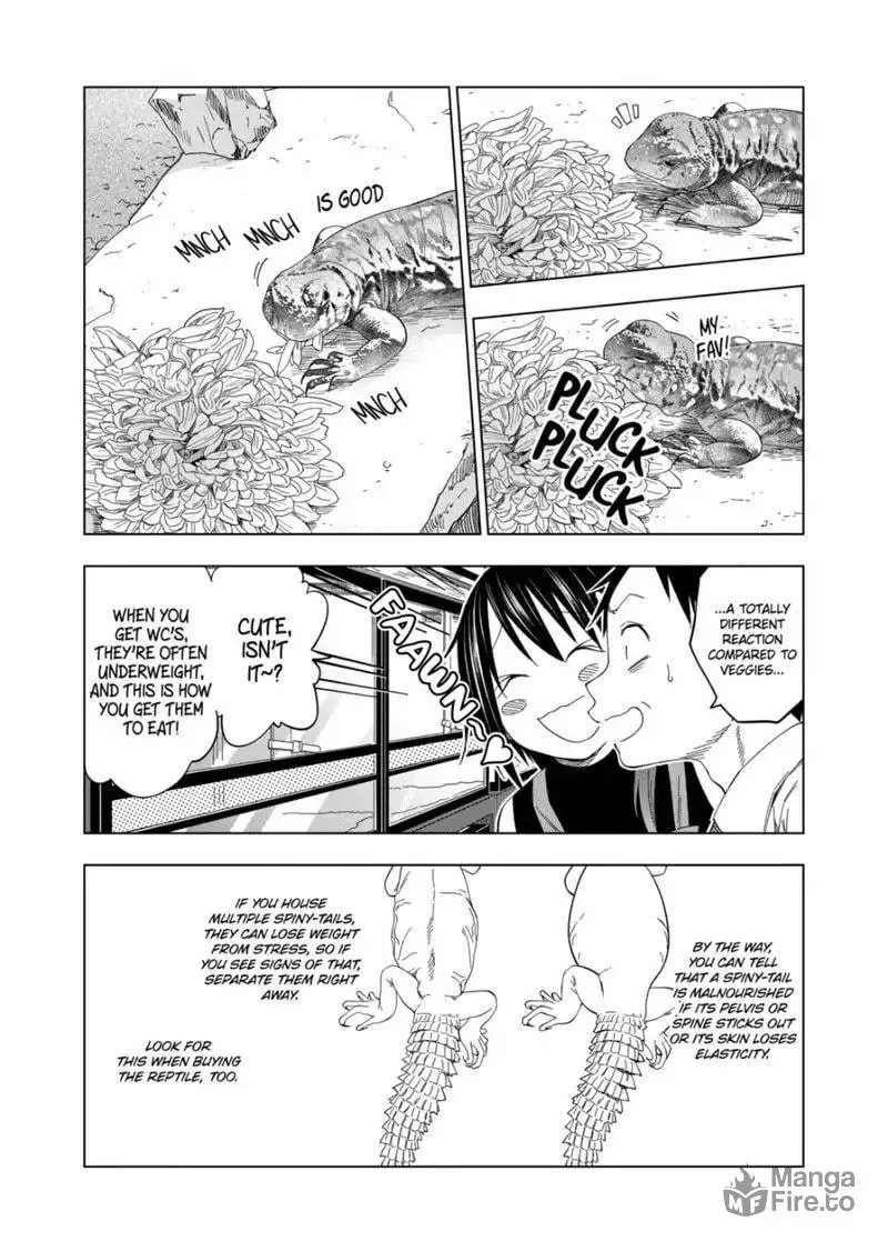Reptile Secrets Chapter 98 page 20 - 