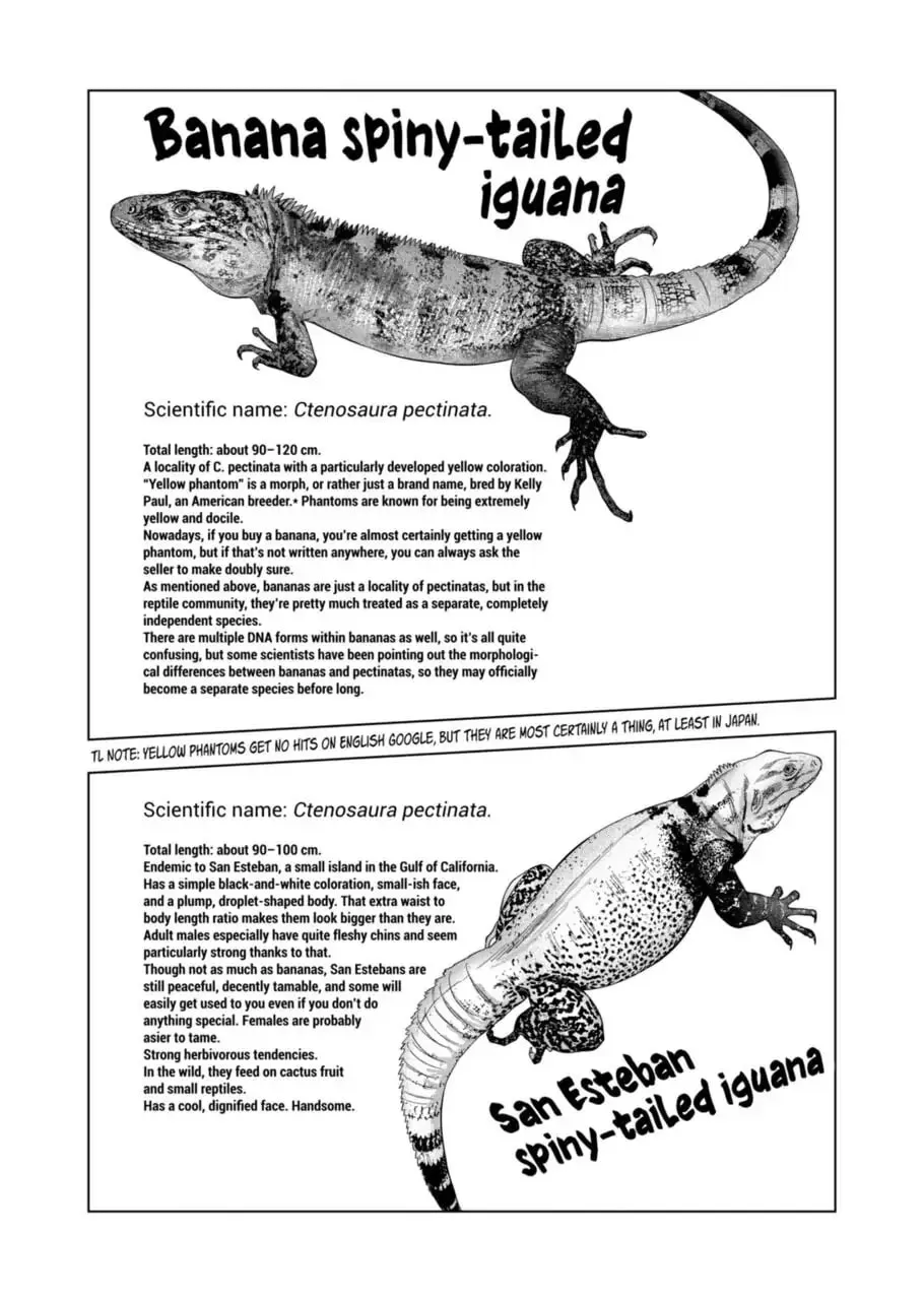Reptile Secrets Chapter 99 page 7 - 