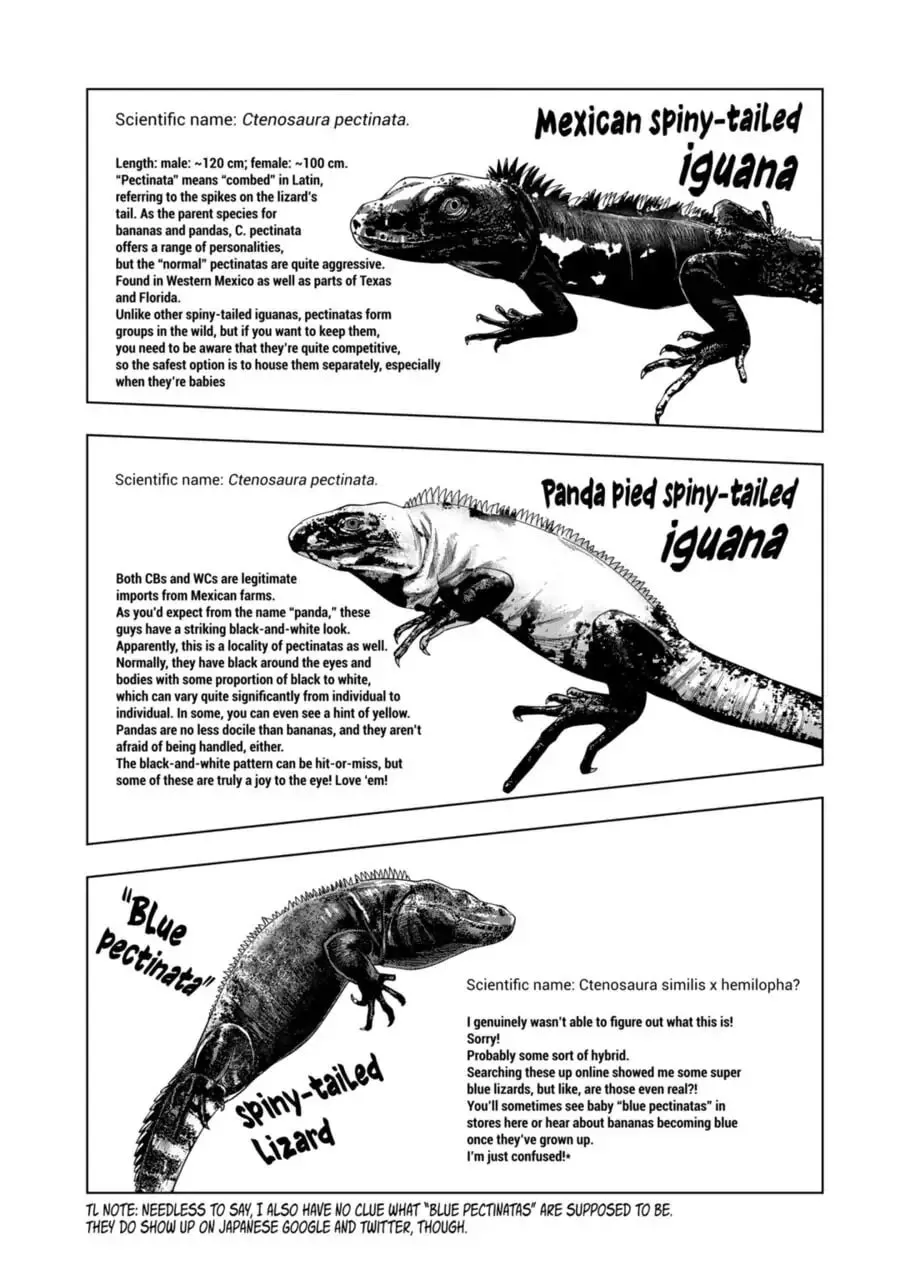 Reptile Secrets Chapter 99 page 8 - 