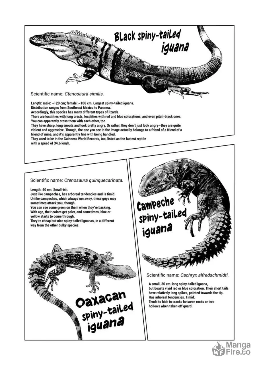 Reptile Secrets Chapter 99 page 9 - 