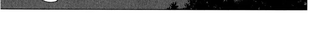 Read Reset! chapter 2 image 25 on Lezhin