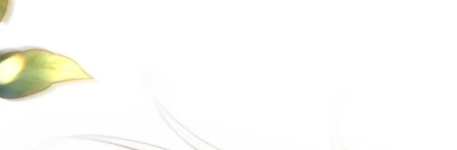 Read Resetting Lady chapter 90 image 191 on Lezhin
