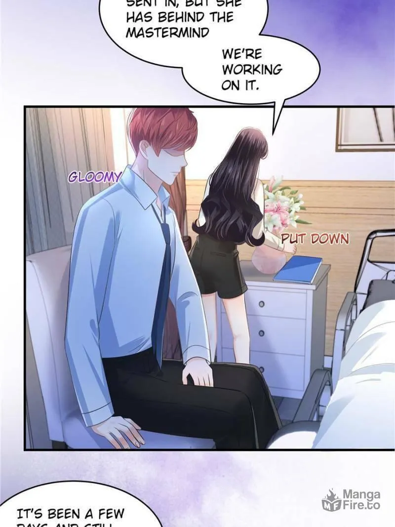 Resurrection Reunion: The Exclusive Love Chapter 230 page 12 - 