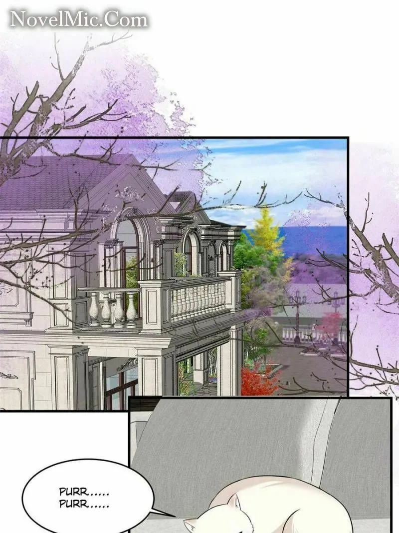 Resurrection Reunion: The Exclusive Love Chapter 273 page 19 - 